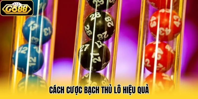 Cách cược bạch thủ lô hiệu quả