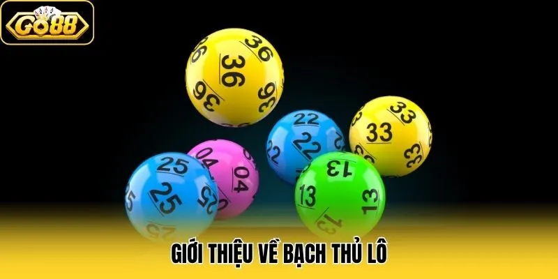 Giới thiệu về bạch thủ lô
